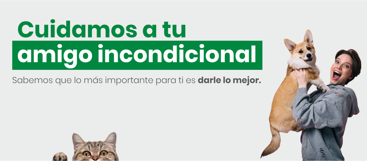 Seguro mascotas